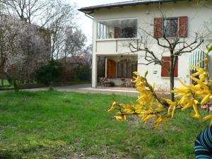 La Quercia e il Gelso