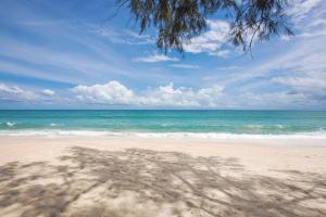 Luxury Oceanfront_pool access apartment