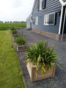 UNESCO de Beemster, vakantiewoning