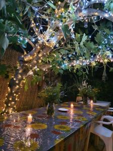 Affittacamere da Zia Michelina