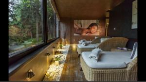 Poiana Brasov Alpin Executive Apartment