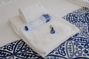 BOUTIQUE Rentals-Flores Terrace historical centre