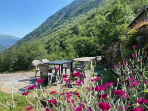 Maisons de vacances Grange renovee, Pyrenees Ariegeoises : photos des chambres