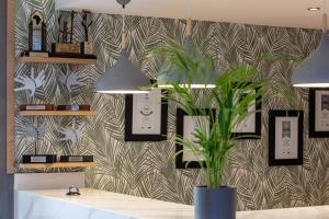 The Cycad Lodge & Chalets