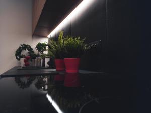 Apartamenty Dworcowa 45