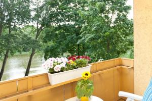 Appartement am Lietzensee - Messe