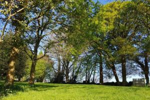 Maisons de vacances Le Golut : photos des chambres