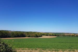 Maisons de vacances Le Golut : photos des chambres