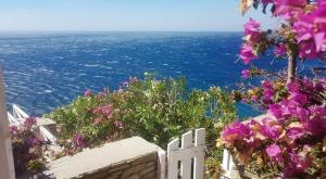 Apartment with one bedroom in Ormos Kardianis with wonderful sea view furnished terrace an Tinos Greece