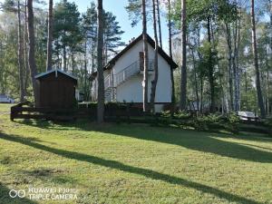 Apartament pod Dębem