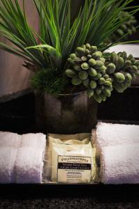 Executive Inn Whistler