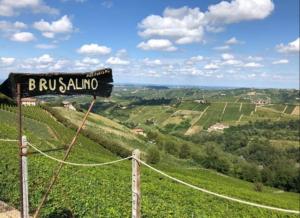Agriturismo Brusalino