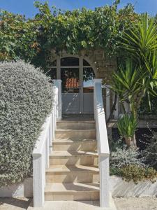 Holiday Resort Balota