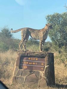 Hippo Retreat & Tiger Fishing Komatipoort