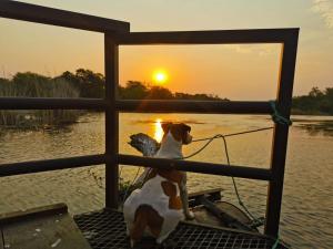 Hippo Retreat & Tiger Fishing Komatipoort