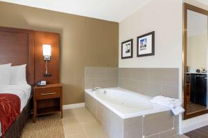 King Suite - Non-Smoking room in Comfort Inn & Suites Macon West