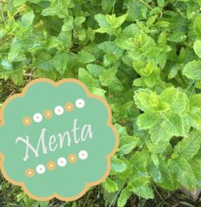 Villetta "Il Grillo"