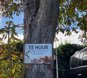 Vakantiebungalow Mee naar Ouddorp aan zee