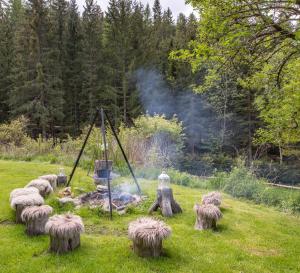 Unplugged Almhütte Waldbauer