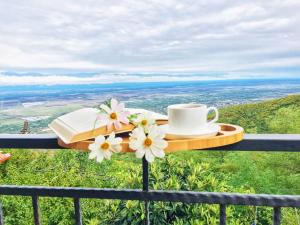 Zurabashvili Guest House