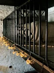 Luxury_loft - Zinʼkovtsy