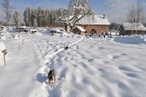 B&B / Chambres d'hotes 