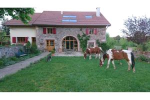 B&B / Chambres d'hotes 