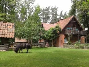 赖斯尼兹卡贾德诺瑞兹酒店 - Swaderki