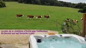 B&B / Chambres d'hotes La ferme du bonheur : photos des chambres