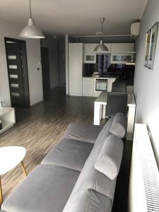 Apartament Ptasia