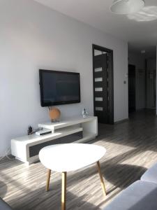 Apartament Ptasia