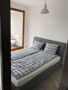 Apartament Ptasia