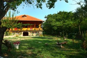 Pelican Birding Guest House