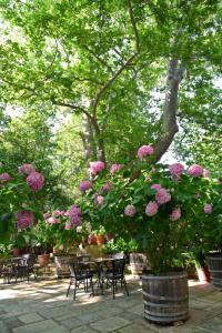 Hotel Filoxenia Pelion Greece
