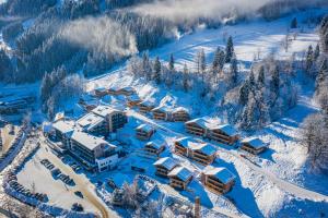 Apartment Dorf Wagrain Alpenleben by AlpenTravel