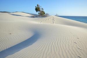 Eco Village Baia Delle Ginestre img61