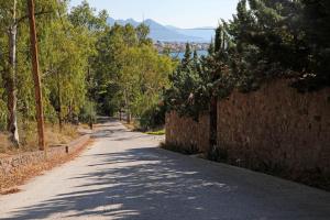 Eucalyptus Villa Aegina Greece