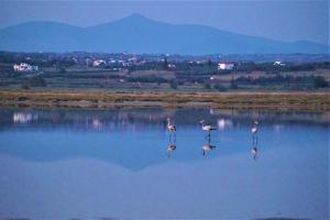 Infinite Blue, Horizon, Elegance, Hospitality