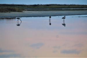 Infinite Blue, Horizon, Elegance, Hospitality