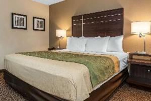 Room #25649806 room in Comfort Inn near I-69 and Washington Center Road