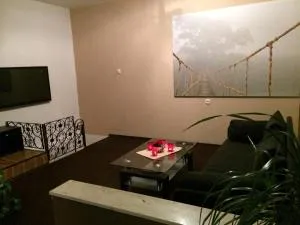 Apartment Hildesheim - Despetal