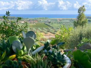 obrázek - Campagna Vista Mare