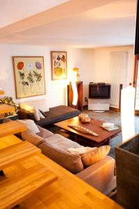 Lappart du chateau des Girards