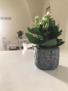 Domo Antiga Guest Rooms img46