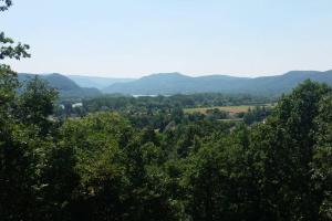 Tölgyerdő Apartman