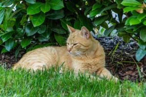 Kinderbauernhof Salmanner