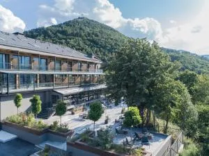 The Lynx Mountain Resort - Palaios Agios Athanasios
