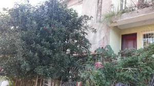 Pertinho da Mata - Afonso