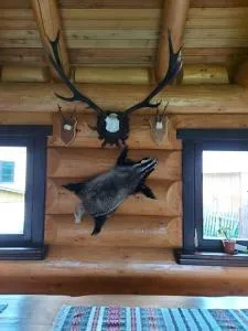 Pensiunea Argela - Jzwor