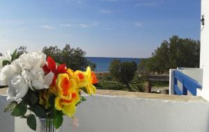 Nostos Beachfront Apartments & Studios Tinos Greece